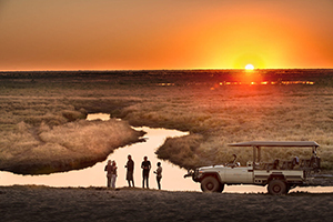 Authentic Botswana Safari, 6 Nights