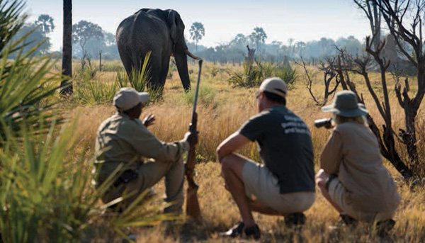 walking safari