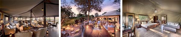 Linyanti Bush Camp in Botswana