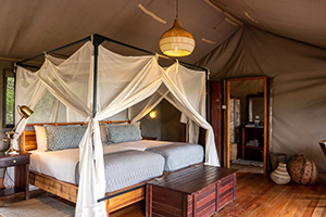 Linyanti Bush Camp, Botswana