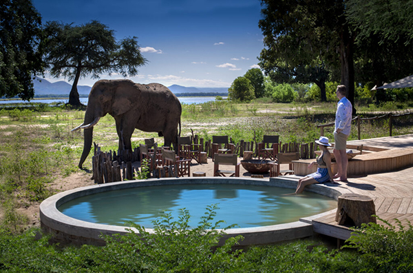 Nyamatusi Camp, Mana Pools National Park