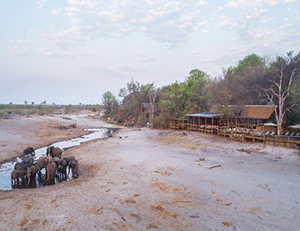 Savute Safari Lodge, 
Savute