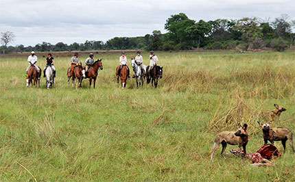 Motswiri Camp - Selinda Reserve - Botswana Safari Lodge