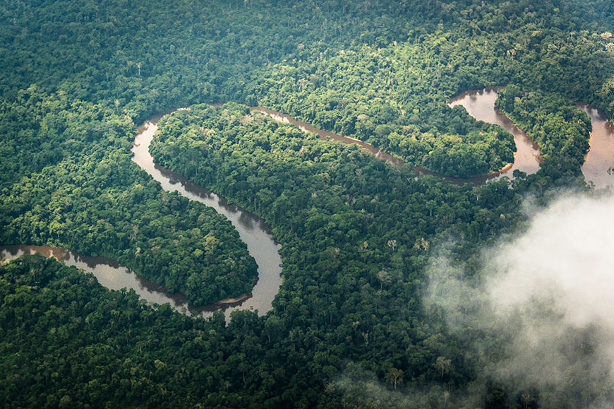 Mboko Camp - Odzala-Koukoua National Park