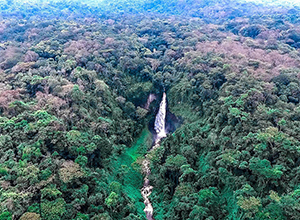 Waterfall in Kahuzi-Biega National Park, Democratic Republic of the Congo. (Forest Service photo by Roni Ziade)