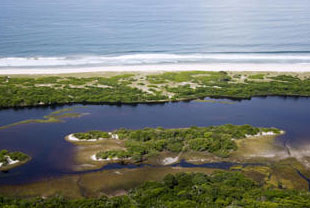 Loango National park’s beach