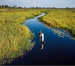 14 Nights Botswana & Cape Town South Africa, May 8-22 2027 Group Trip