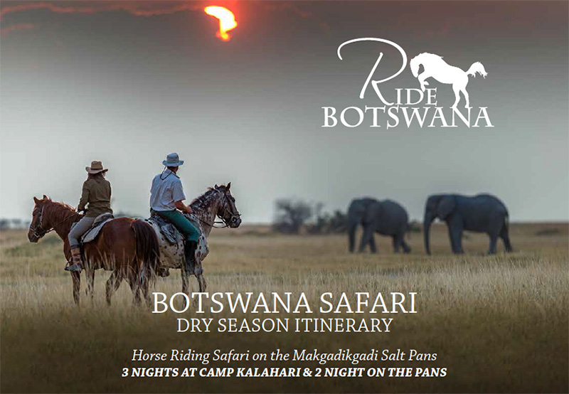 5 Nights Horse Riding Safari on the Makgadikgadi Salt Pans