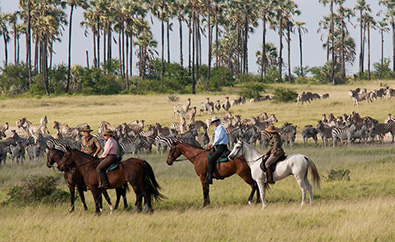 5 Nights Horse Riding Safari on the Makgadikgadi Salt Pans