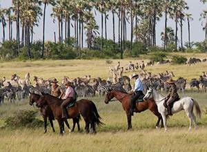 5 Nights in the Makgadikgadi Pans & the Kalahari Desert