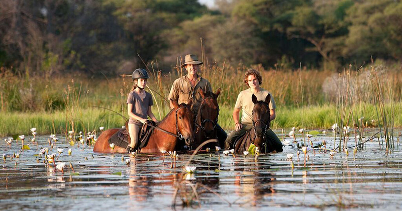 3 Nights Thamalakane River Horse Ride