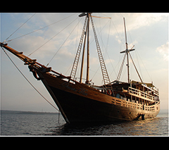 Kalimantan (11 Days/10 Nights) , Damai 2 Liveaboard Scuba Diving, May 25-June 4 2026 Group Trip