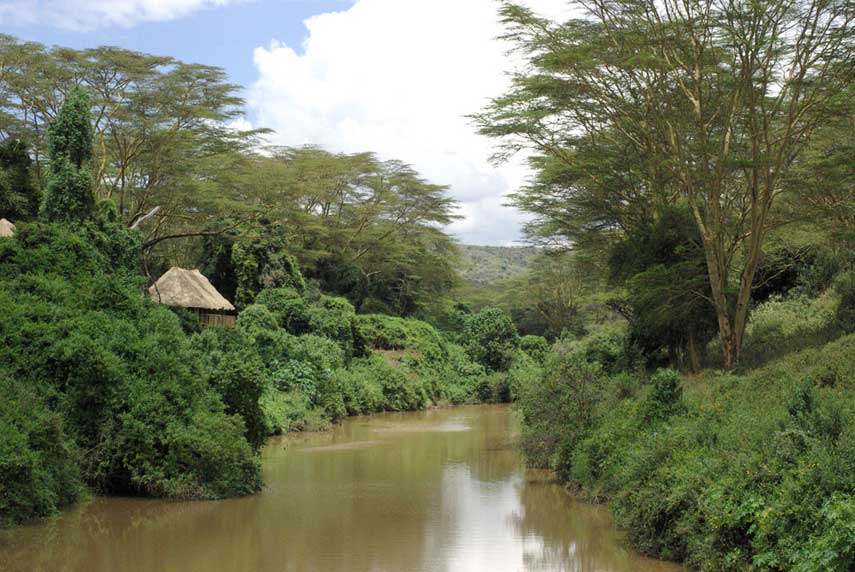 Malewa Wildlife Lodge - Great Rift Valley - Kenya Safari Lodge