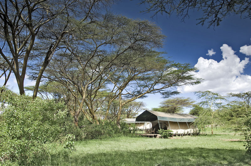 Porini Mara Camp - Maasai Mara - Kenya Safari Adventure Camp