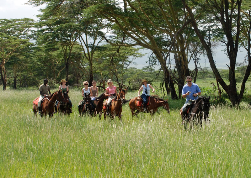 custom-made riding safaris