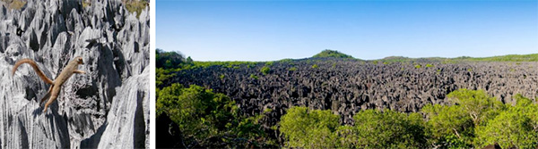 Grand Tsingy Ankarana