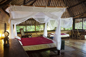 Manafiafy Beach and Rainforest Lodge - Manafiafy