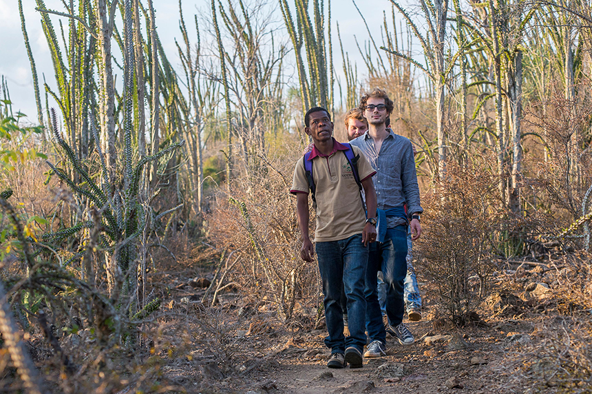 Walking safari - Mandrare River Camp - Madagascar