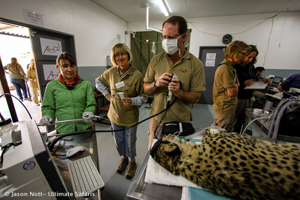 Okonjima’s AfriCat Day Centre