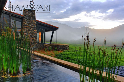 Nyungwe Forest Lodge - Nyungwe National Park - Rwanda Safari Lodge