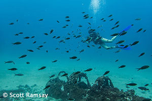 Principe underwater