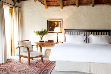 Elephant House - Eastern Cape - South Africa Safari Lodge