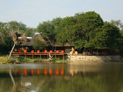 Gomo Gomo Game Lodge - Timbavati Private Game Reserve - South Africa Safari Lodge