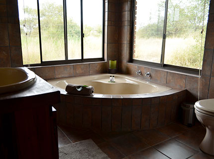 Gomo Gomo Game Lodge - Timbavati Private Game Reserve - South Africa Safari Lodge