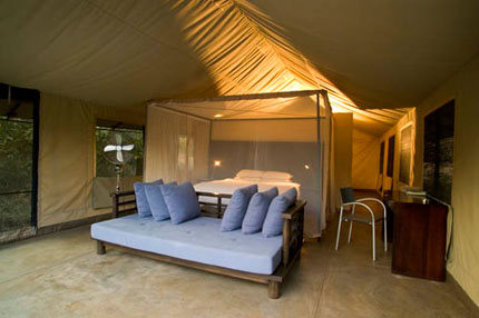 Honeyguide Khoka Moya Camp - Kruger National Park - South Africa Safari Tented Camp