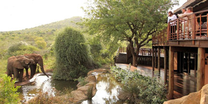 Thanda Safari Lodge, Thanda Private Game Reserve - KwaZulu Natal - South Africa Luxury Safari Lodge