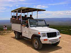 Addo Elephant Park - Eastern Cape - South Africa Safari Park