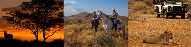 Activities at Tswalu Kalahari