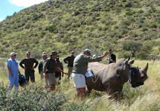 Tswalu Kalahari  - Northern Cape - South Africa Safari Lodge