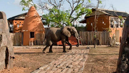 Azura Selous - Selous Game Reserve - Tanzania Safari Camp