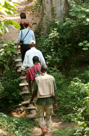 Gombe Forest Lodge - Gombe Stream National Park, Lake Tanganyika - Tanzania Island Lodge