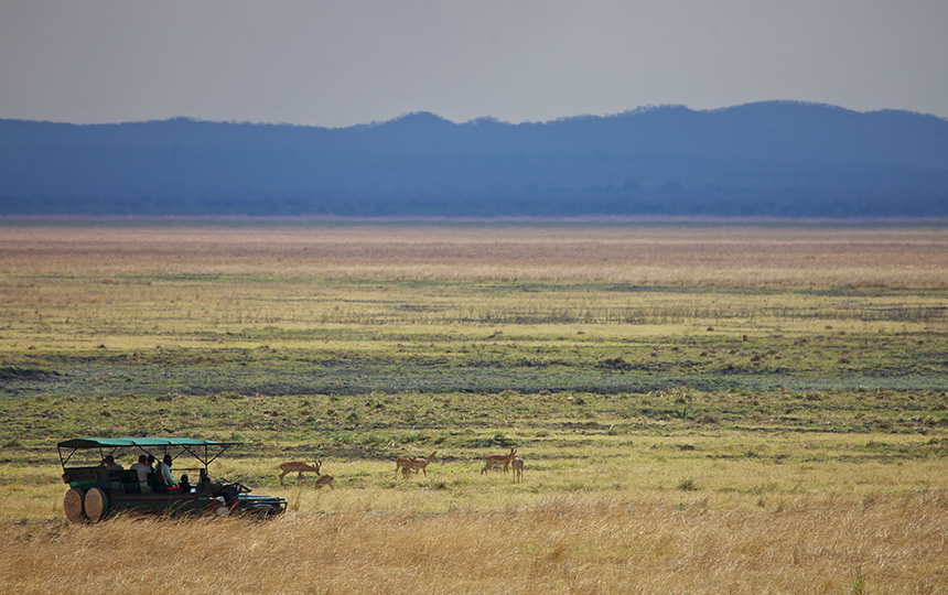 Game Drive- Katavi Wildlife Camp