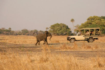 Katuma Bush Lodge - Katavi National Park - Tanzania Safari Camp