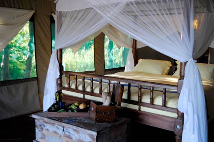 Kungwe Beach Lodge - Mahale Mountains National Park, Lake Tanganyika - Tanzania Island Lodge