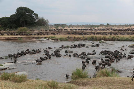 Lemala Kuria Hills Lodge - Serengeti National Park - Tanzania Luxury Safari Tented Camp