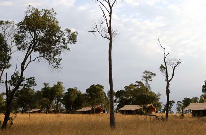 Lemala Ndutu & Mara Tented Camps - Serengeti Safari Camps, Tanzania