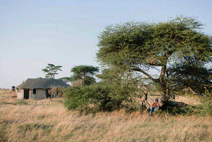 Namiri Plains Camp - Serengeti National Park - Tanzania Safari Camp