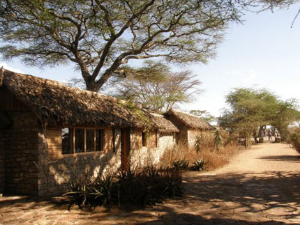 Ndutu Safari Lodge - Serengeti National Park - Tanzania Safari Lodge