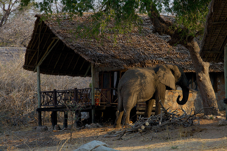 Chalet - Ruaha River Lodge