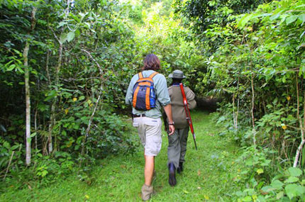 Rubondo Island Camp - Rubondo Island National Park - Tanzania Adventure Safari Camp