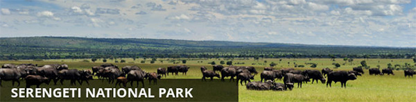 Serengeti National Park