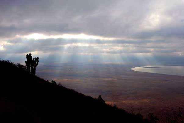 Plantation Lodge - Ngorongoro Conservation Area - Tanzania Safari Lodge