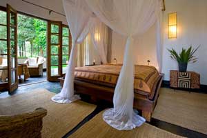 Plantation Lodge - Ngorongoro Conservation Area - Tanzania Safari Lodge