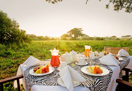 Tarangire Sopa Lodge - Tarangire National Park - Tanzania Safari Lodge