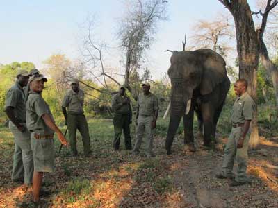 Abu Elephant Camp Trip Report, Oct 20-23 2011 - Okavango Delta, Botswana - Africa Discovery