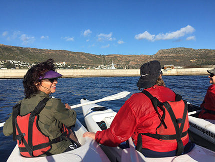 Sea Kayak in Simons Town, South Africa